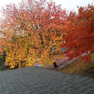 Meet your Posher, Annie